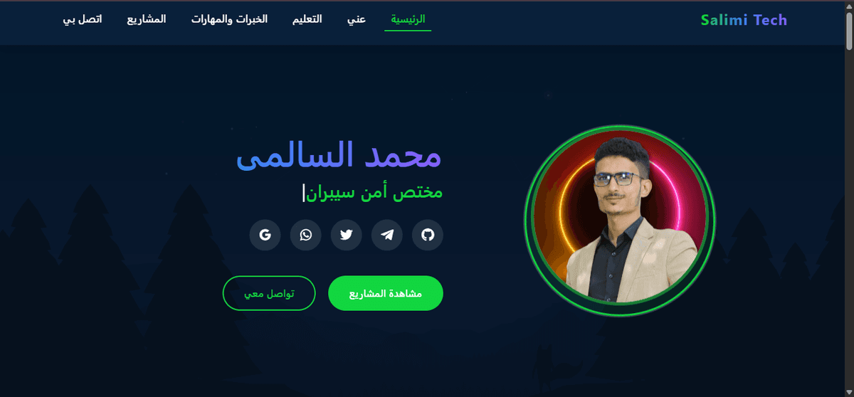 Salimi Tech - CV Site